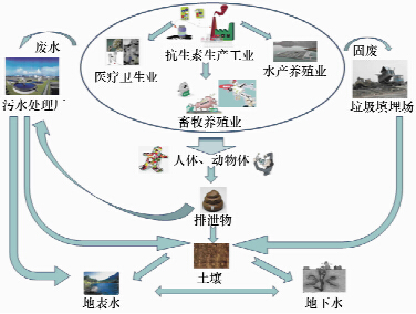 圖片3.png 圖片3.png