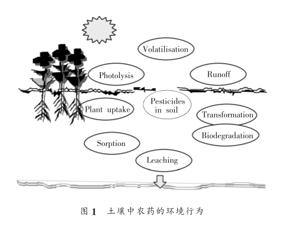圖片11.png 圖片11.png